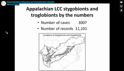 Cave and Karst Mapping and Classification Update