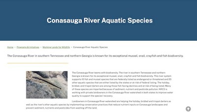 Conasauga River Aquatic Species