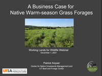 Establishing Native Grass Forages:A Brief Overview w/ Dr. Pat Keyser