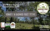 WLFW East Region Conservation Webinar Series: Northern Bobwhite Session #6 “Bobwhite in Hardwood Forest Systems”