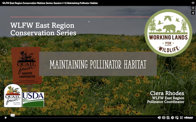 WLFW Pollinator Conservation Webinar Series: Session # 12 Maintaining Pollinator Habitat