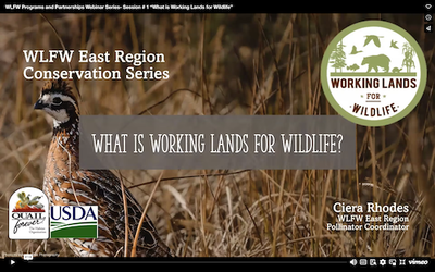 WLFW Programs and Partnerships Webinar Series- Session # 1 “What is Working Lands for Wildlife”