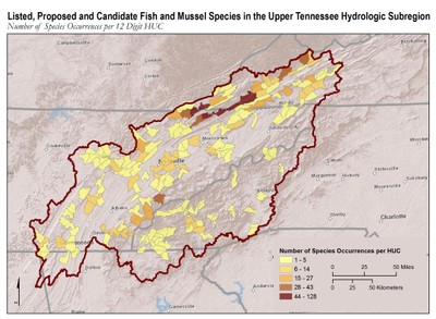 Map of Listed, Proposed, and Candidate Fish and Mussels in the UTRB
