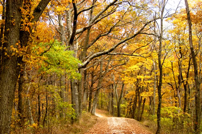 A Complex Landscape has both Vulnerabilities and Resilience to Climate Change