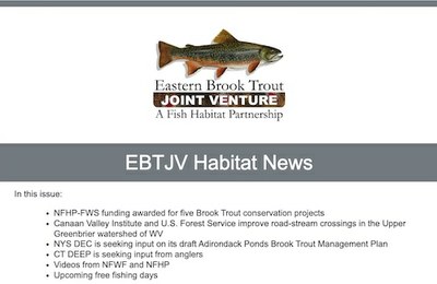 EBTJV Newletter June 2025