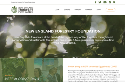 New England Forestry Foundation