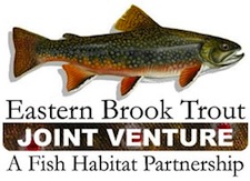 Eastern Brook Trout Joint Venture