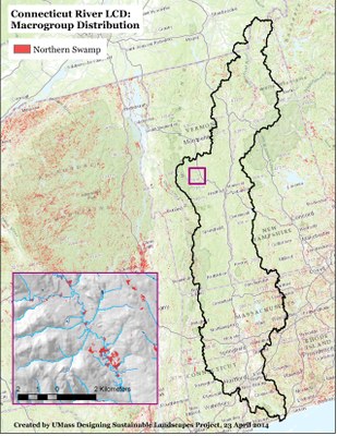 Northern Swamp