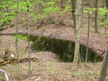 Vernal Pool Mapping and Conservation