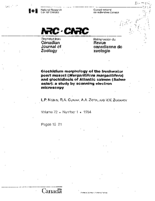 Nezlin et al 1994.pdf