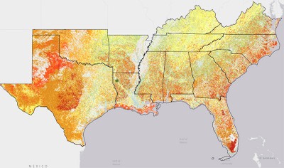 Fire Mapping