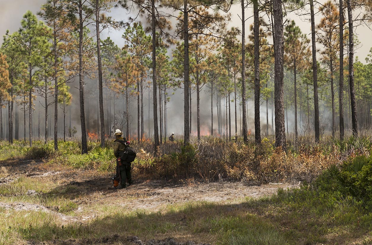 Mesa IHC conducts Strategic Firing Operation on West Mims Fire