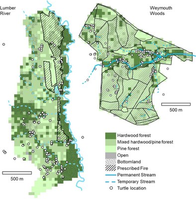 Overwintering behavior reduces mortality for a terrestrial turtle in forests managed with prescribed fire