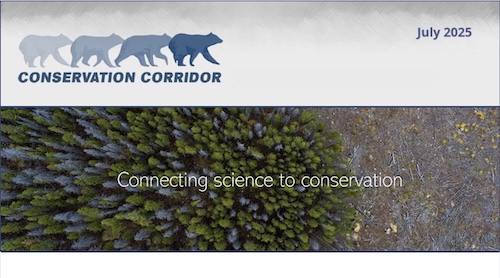 Conservation Corridor August 2025 Newsletter
