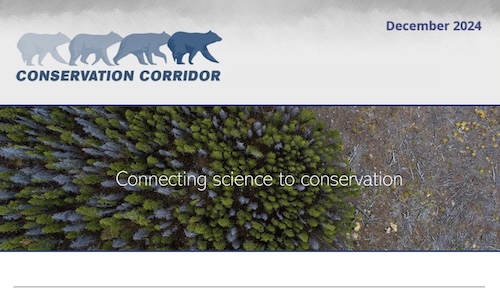 Conservation Corridor December 2024 Newsletter