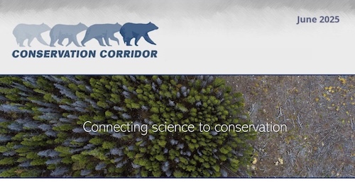 Conservation Corridor June 2025 Newsletter