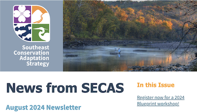 News from SECAS August 2024 Newsletter