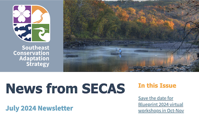 News from SECAS July 2024 Newsletter